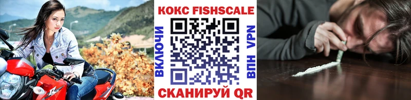 Cocaine Fish Scale закладка Ялта