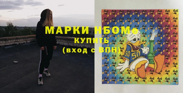 гашик Надым