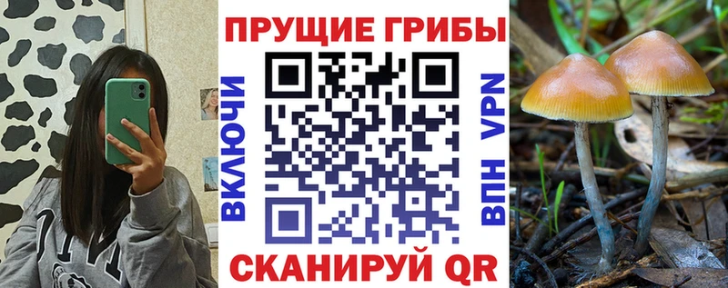 Псилоцибиновые грибы мухоморы  mega как зайти  Ялта 