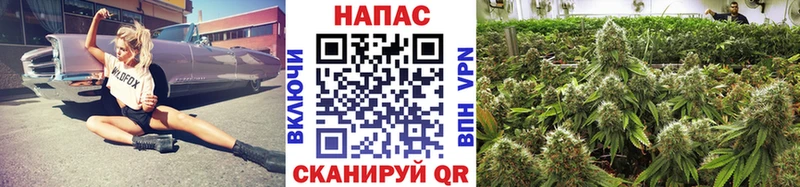 купить наркотик OMG ТОР МАРИХУАНА OG Kush Ялта